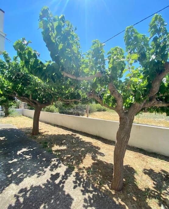 Τέσσερις Εποχές Apartamento Aetos  Exterior foto